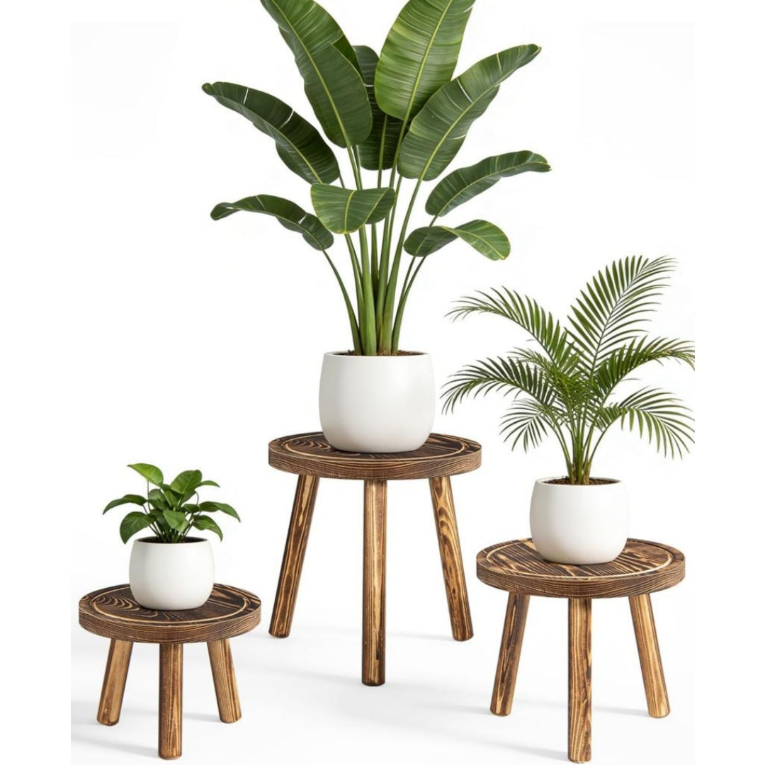 Langlebiges Blumenstaender aus Holz fuer Reisen